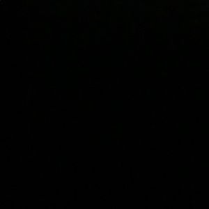 Meet your Posher, Jerrina